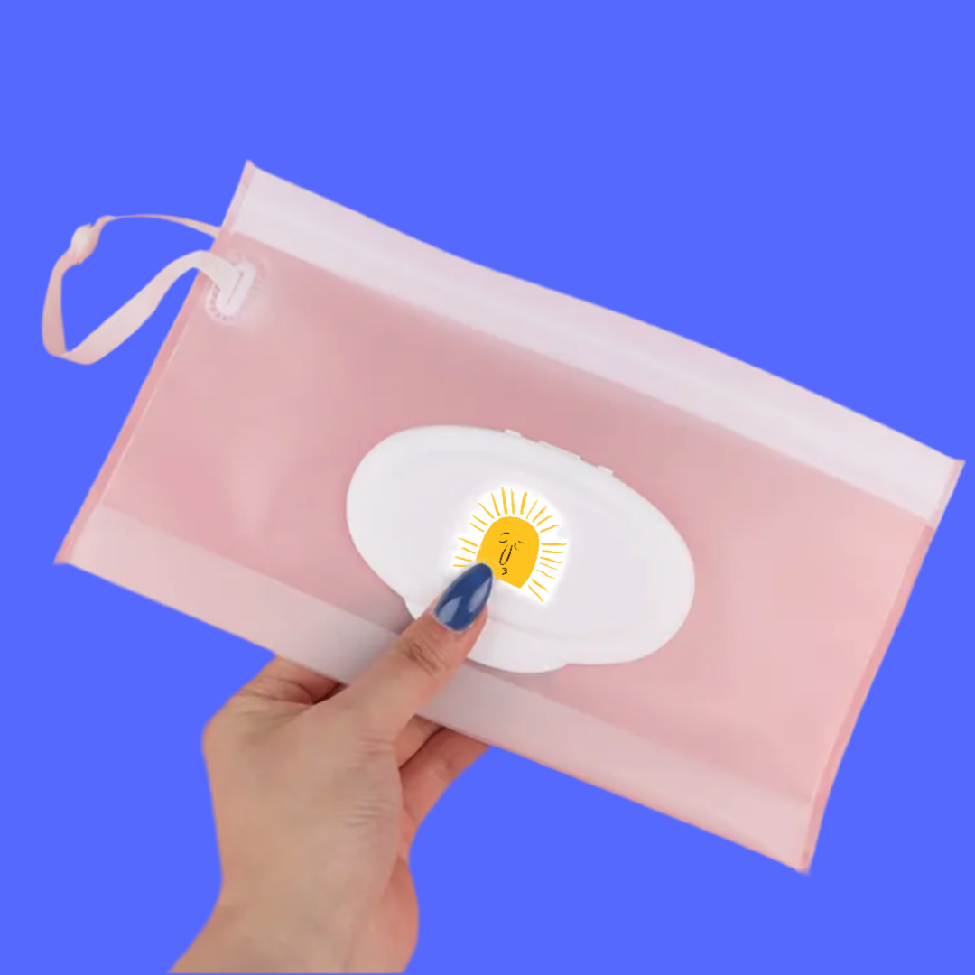 Wet-wipe bag