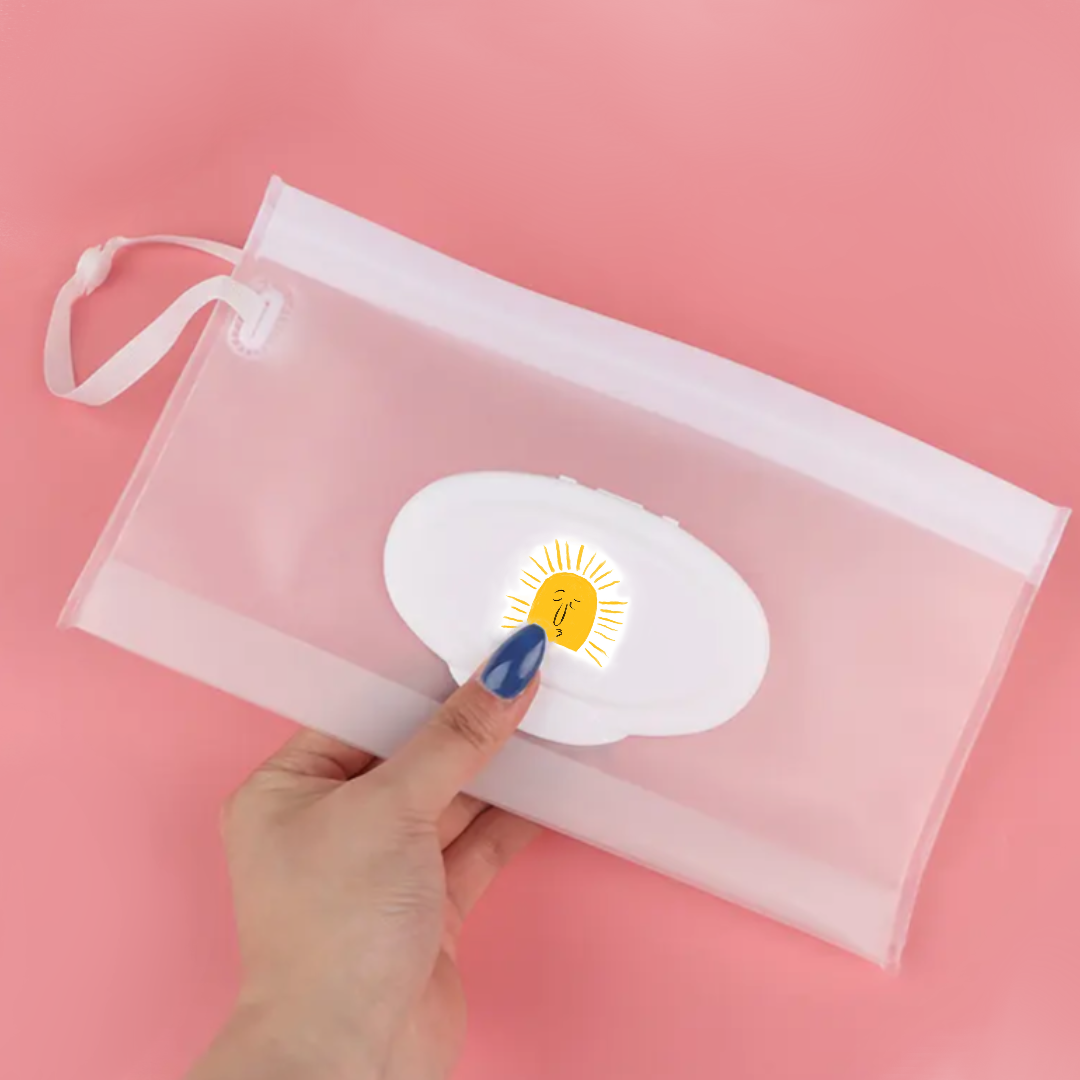 Wet-wipe bag