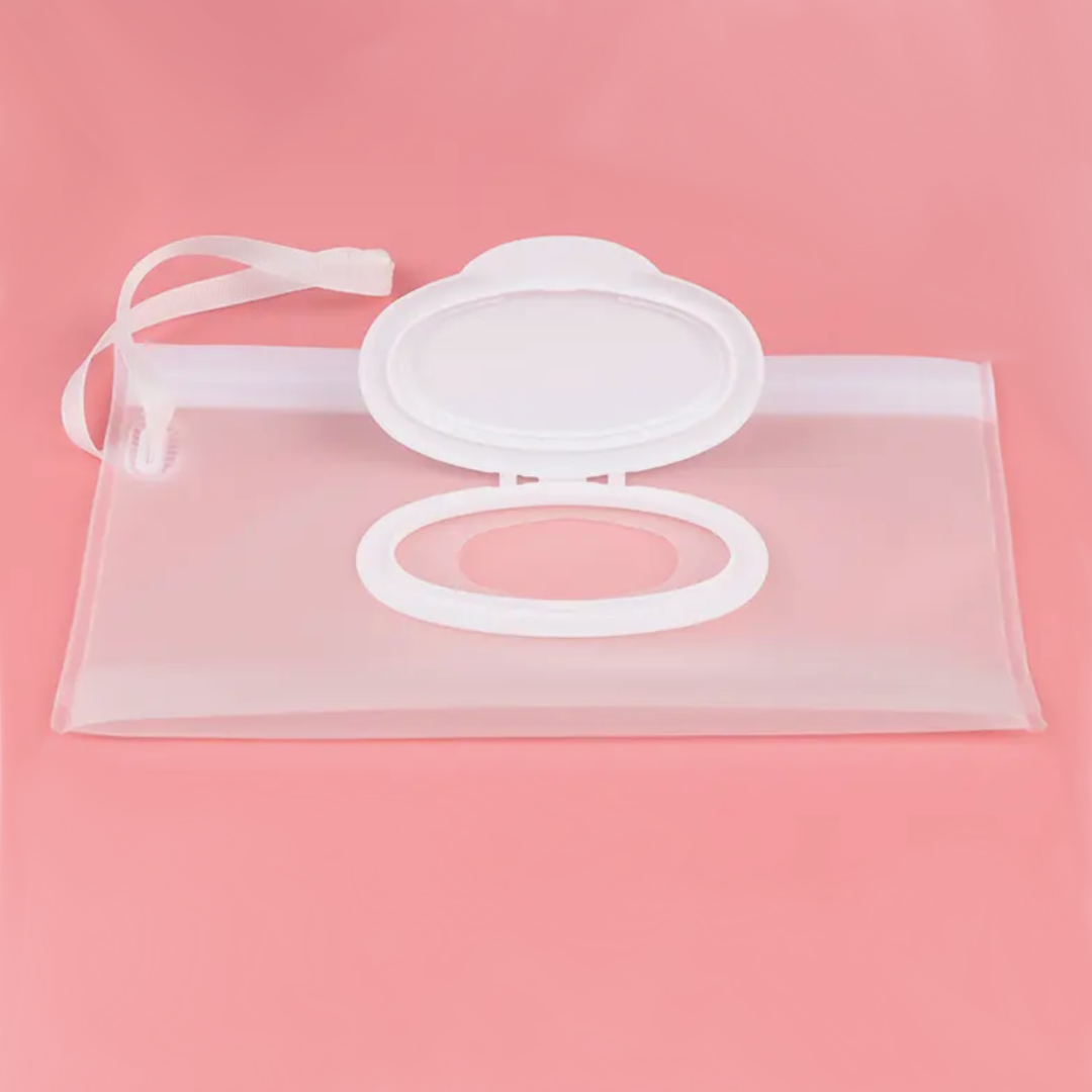 Wet-wipe bag